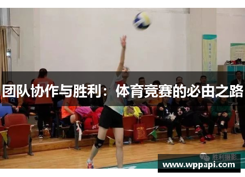 团队协作与胜利：体育竞赛的必由之路