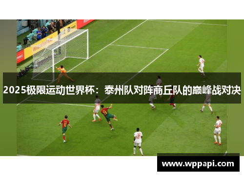 2025极限运动世界杯：泰州队对阵商丘队的巅峰战对决